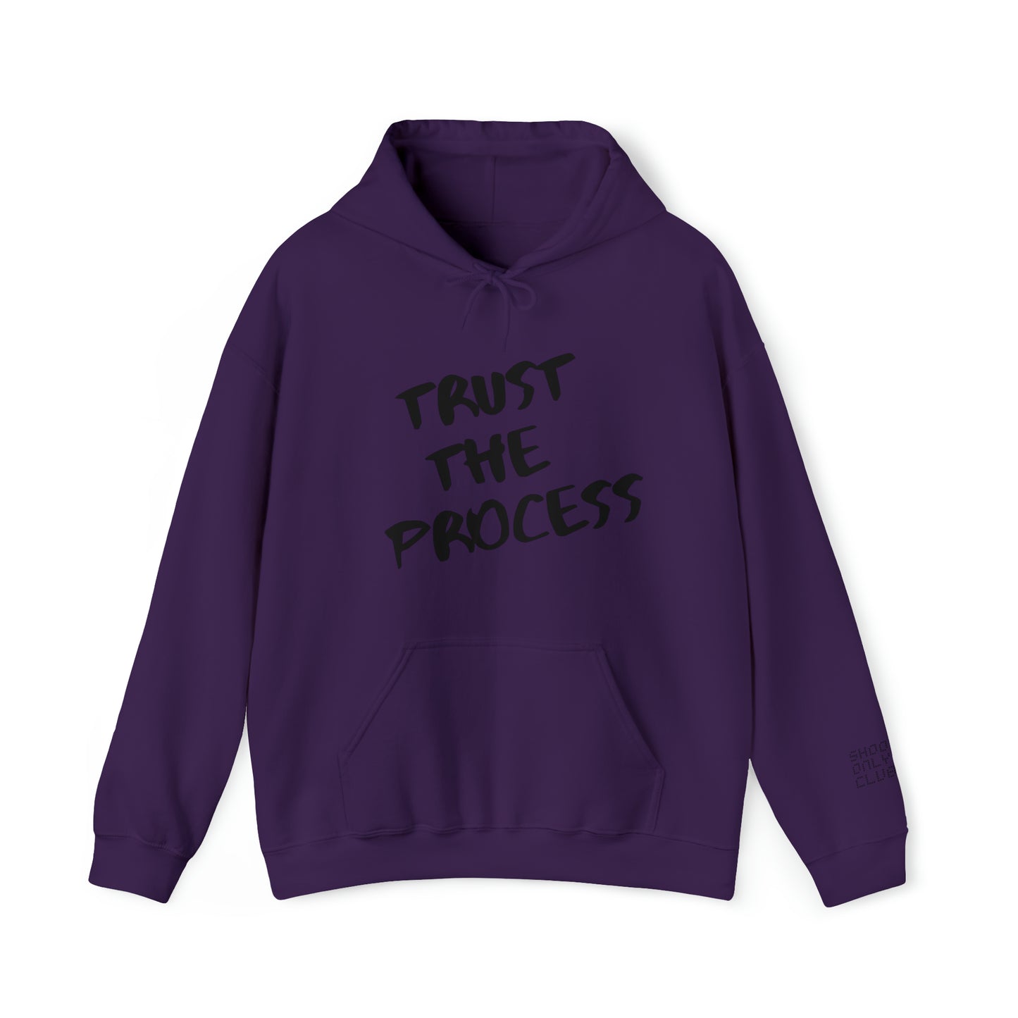 Trust The Process Hoodie
