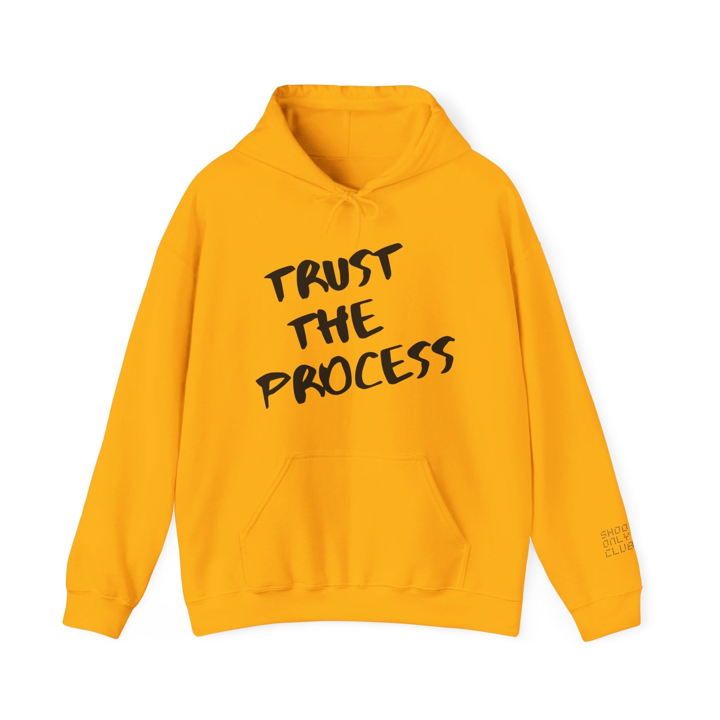 Trust The Process Hoodie