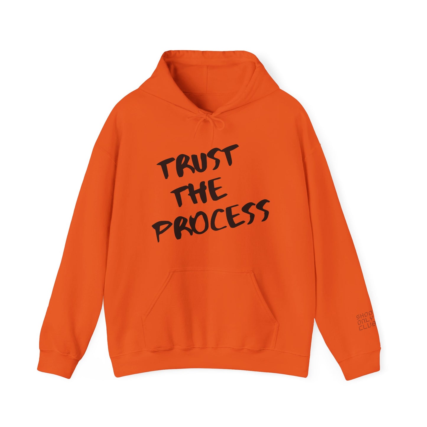 Trust The Process Hoodie